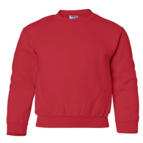 Untitled design (16) Youth Sweatshirts
