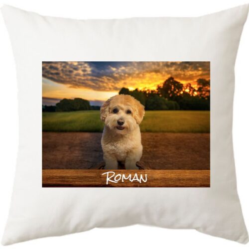 Photo Pillow